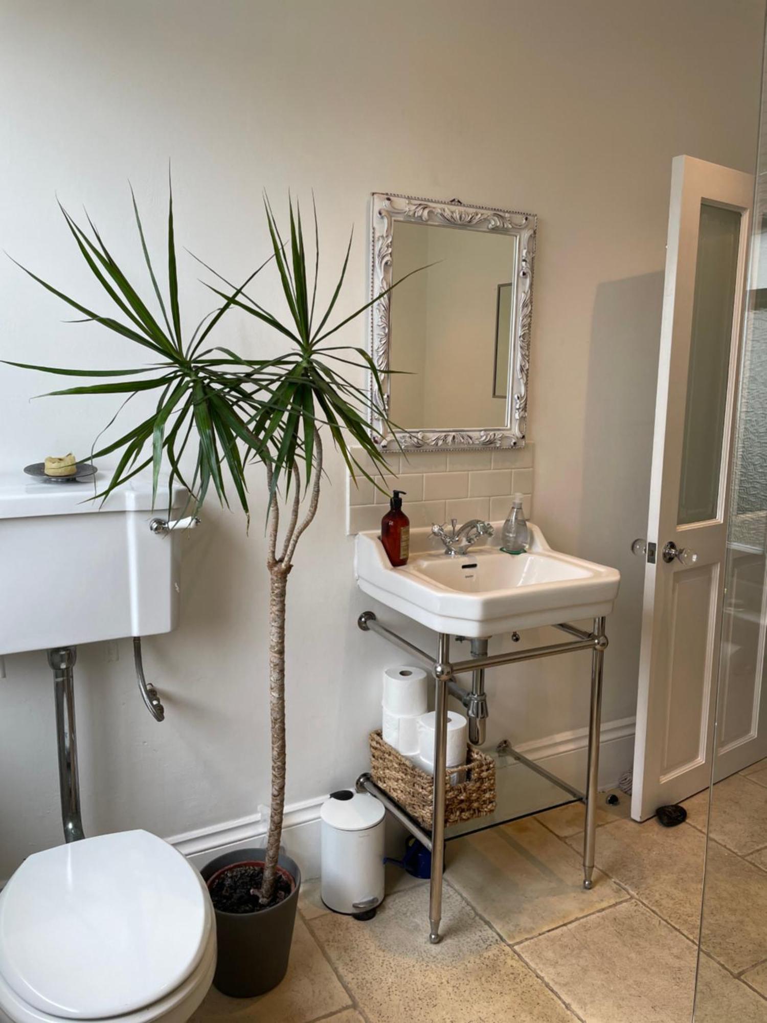 3 Bed Home Sleeps 6 Free Parking برايتون المظهر الخارجي الصورة